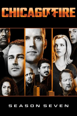 Chicago Fire - Seizoen 7