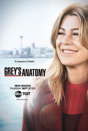Grey's Anatomy - Seizoen 15