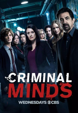 Criminal Minds - Seizoen 13