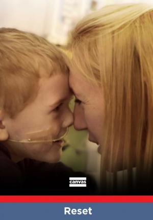 Reset