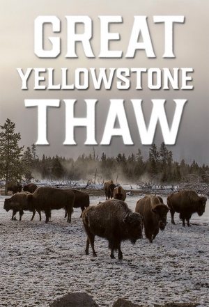 Great Yellowstone Thaw