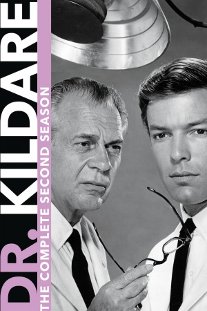 Dr. Kildare - Seizoen 2