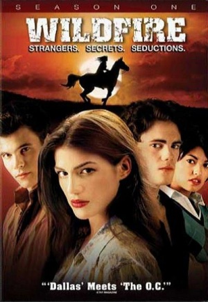 Wildfire - Seizoen 1