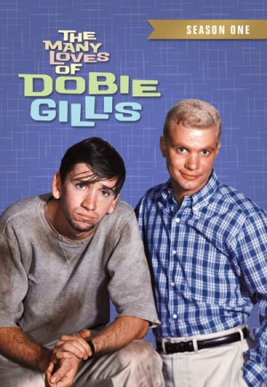 Many Loves of Dobie Gillis, The - Seizoen 1