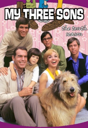 My Three Sons - Seizoen 10