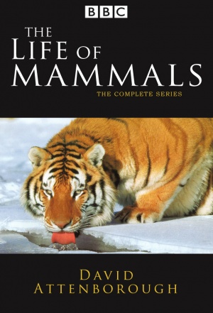 Life of Mammals, The