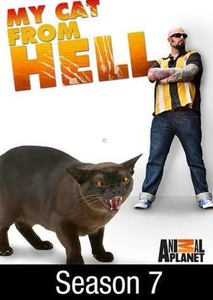 My Cat from Hell - Seizoen 7
