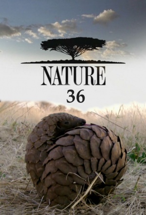 Nature - Seizoen 36