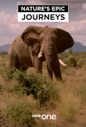 Nature's Epic Journeys - Seizoen 1