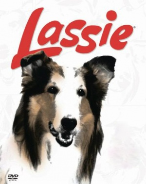 Lassie - Seizoen 13