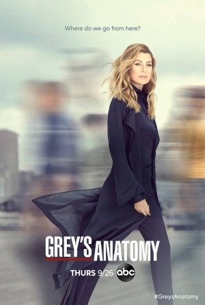 Grey's Anatomy - Seizoen 16
