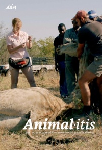 Animalitis