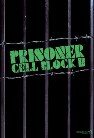 Prisoner - Seizoen 8