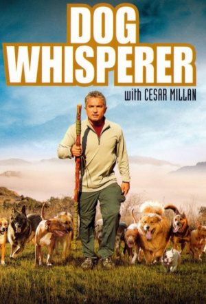 Dog Whisperer with Cesar Millan - Seizoen 1