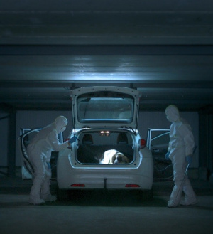 Verdwijning van Britta Cloetens, De