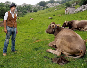 Gort over de Grens - Seizoen 4