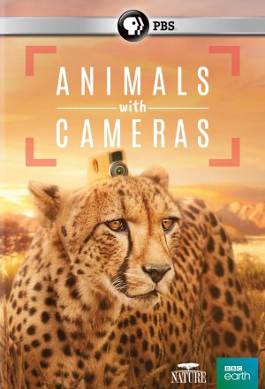 Animals with Cameras