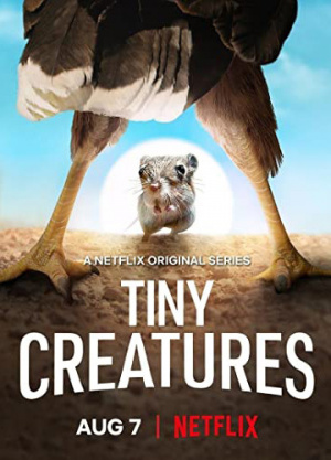 Tiny Creatures - Seizoen 1