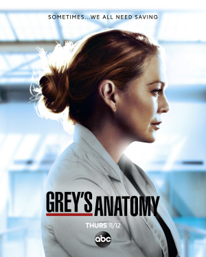 Grey's Anatomy - Seizoen 17