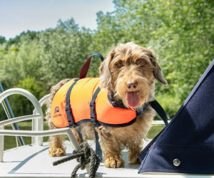 Denkend aan Holland - Seizoen 2