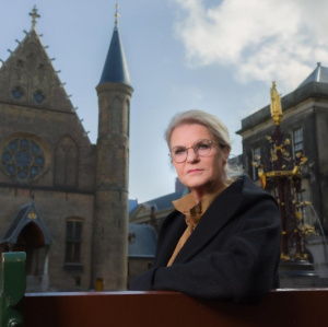 Strijd om het Binnenhof, De