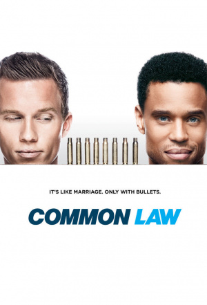 Common Law - Seizoen 1