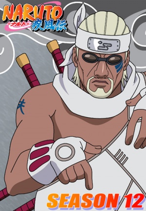 Naruto Shippūden - Seizoen 12