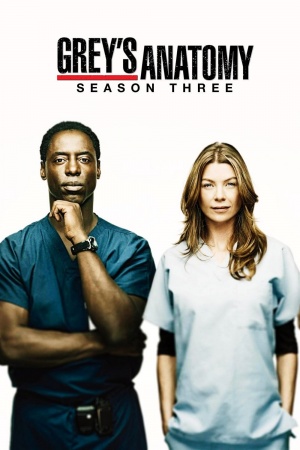 Grey's Anatomy - Seizoen 3