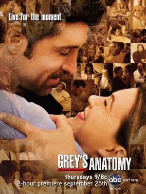 Grey's Anatomy - Seizoen 5