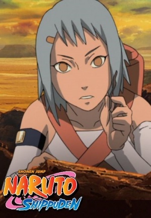 Naruto Shippūden - Seizoen 19