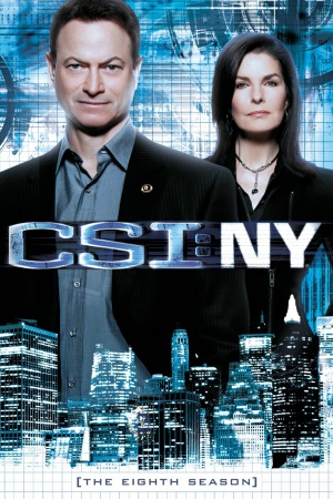 CSI: NY - Seizoen 8