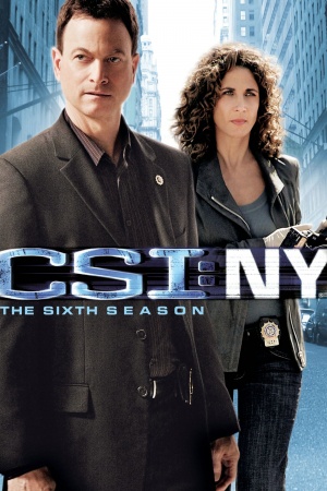 CSI: NY - Seizoen 6