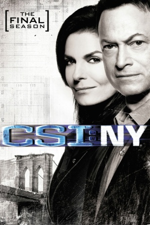 CSI: NY - Seizoen 9