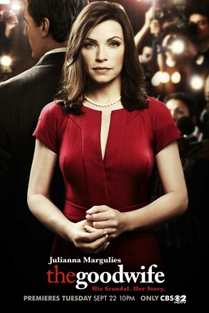 Good Wife, The - Seizoen 1