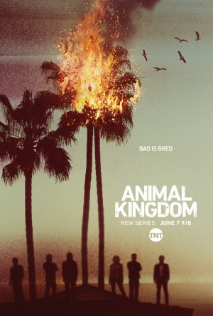 Animal Kingdom - Seizoen 1