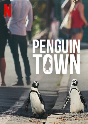 Penguin Town - Seizoen 1