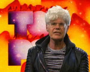 Beste van... 50 Jaar Toppop, Het - Seizoen 1