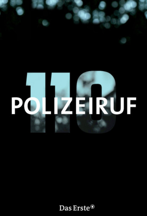 Polizeiruf 110 - Seizoen 41