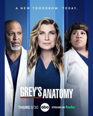 Grey's Anatomy - Seizoen 18