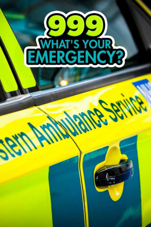 999: What's Your Emergency? - Seizoen 13
