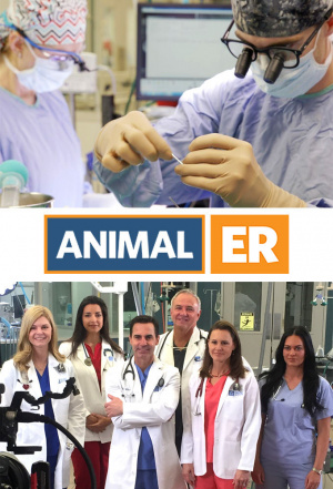 Animal ER - Seizoen 2