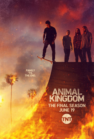 Animal Kingdom - Seizoen 6