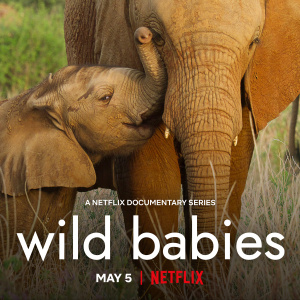 Wild Babies - Seizoen 1