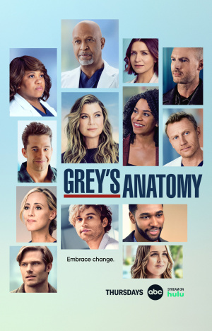 Grey's Anatomy - Seizoen 19
