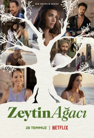Zeytin Ağacı - Seizoen 1