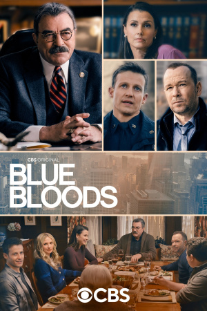 Blue Bloods - Seizoen 13