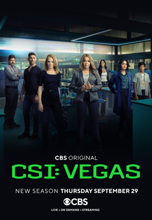 CSI: Vegas - Seizoen 2