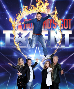 Holland's Got Talent - Seizoen 11