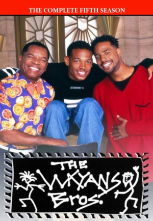 Wayans Bros., The - Seizoen 5