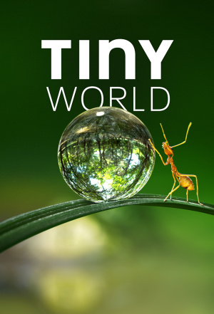 Tiny World - Seizoen 2